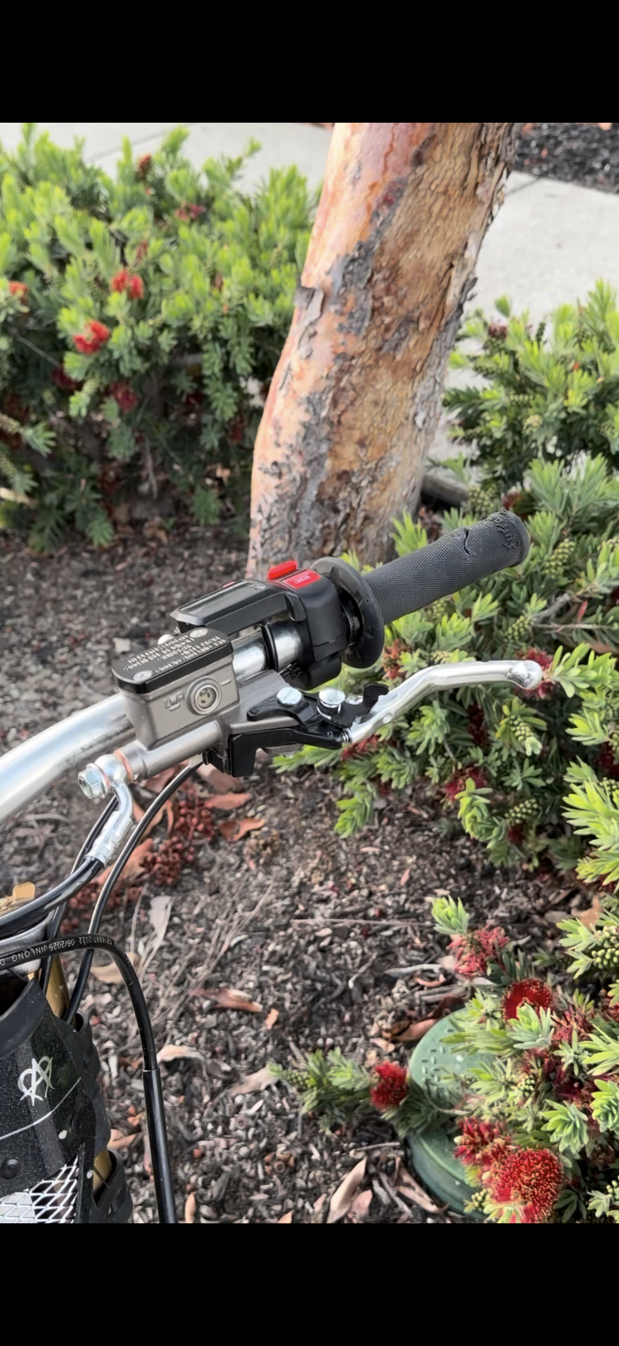 Ultra Bee Brake Kit for Surron LBX/ERIDE 2.0